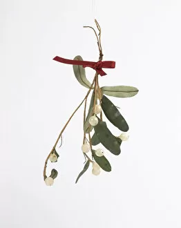 Geffrye Museum Collection: Christmas decoration