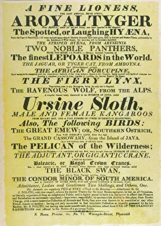 Lynx Gallery: Circus Poster / Polito s