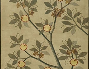 <b class=qtipBold><figcaption>Citrus aurantium, bitter orange</figcaption></b><br>A photograph of the detail from one of the decorative ceiling panels from the roof of the Natural History Museum's Central Hall. This panel is showing some cracking damage which has since been repaired. Date:<br><em>© Mary Evans / Natural History Museum</em> Citrus aurantium, bitter orange