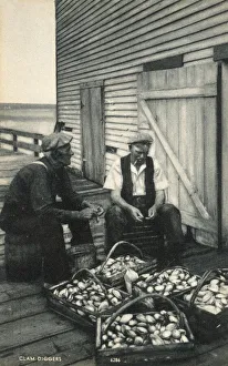 Clam Diggers sorting and grading their pickings, Boston, USA