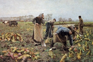CLAUS, Emile (1849-1924). The Beet Harvest. 1890 CLAUS, Emile (1849-1924). The Beet Harvest. 1890