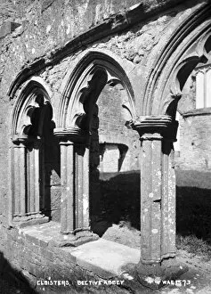 Meath Gallery: Cloisters, Bective Abbey