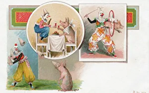 1901 Dutch circus postcard of a clown and pigs, 'Roick'