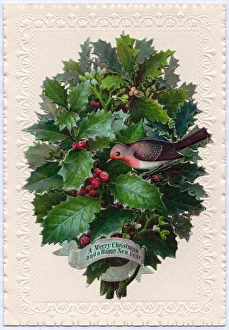 Clump of holly on a Christmas and New Year card Clump of holly on a Christmas and New Year card