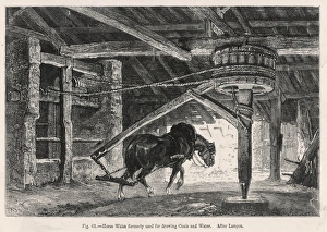 <b class=qtipBold><figcaption>Coal/Horse Works Whim</figcaption></b><br>A horse working a whim in a French colliery<br><em>© Mary Evans Picture Library</em> Coal/Horse Works Whim