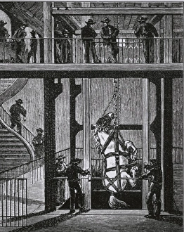 <b class=qtipBold><figcaption>Coal mining with a horse</figcaption></b><br>Coal mine in Hoganas.South of Sweden. A horse is lowered down a coal mine shaft. Date:<br><em>© IBL Collections / Mary Evans</em> Coal mining with a horse