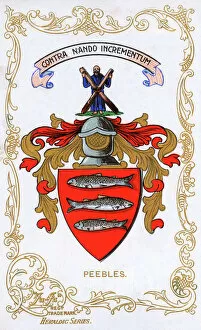 The Coat of Arms of Peebles