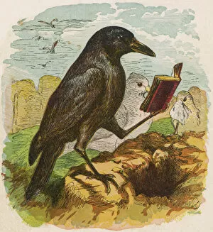 Burial Gallery: Cock Robin 1