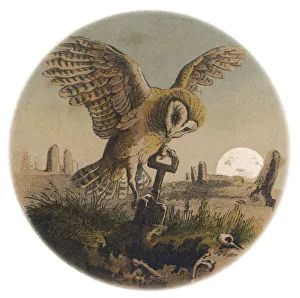 <b class=qtipBold><figcaption>Cock Robin 3</figcaption></b><br>The Owl digs the grave in which the corpse of the late bird (as opposed to the early bird which catches the worm) will be laid.<br><em>© Mary Evans Picture Library</em> Cock Robin 3