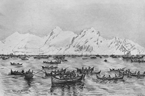 Cod fishing off the Lofoten Islands, Norway 1896 Cod fishing off the Lofoten Islands, Norway 1896