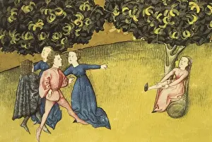Gothic Art Miniature Painting Prints: Codex granatensis, c. 1400. Tacuinum sanitatis. Persimmon