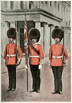 British Army Regiment Prints: Coldstream guards
