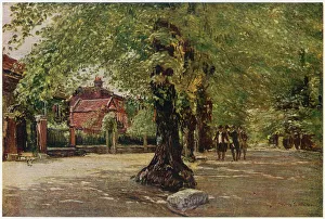Highgate Gallery: Coleridge Grove Highgate