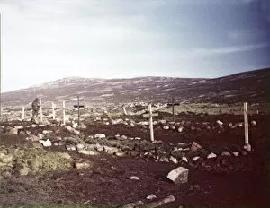 Falklands Gallery: Colour photograph of graves