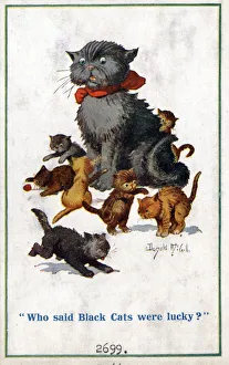 Comic postcard, Black cat annoyed by kittens Date: circa 1918 Comic postcard, Black cat annoyed by kittens Date: circa 1918