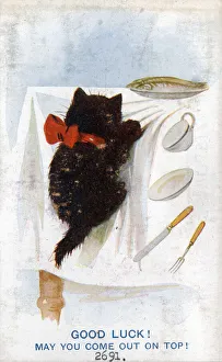 Comic postcard, Black cat on Good Luck card, climbing up the tablecloth Date Comic postcard, Black cat on Good Luck card, climbing up the tablecloth Date