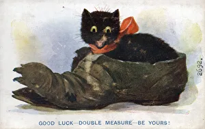Comic postcard, Black cat sitting inside an old shoe on a Good Luck card Date Comic postcard, Black cat sitting inside an old shoe on a Good Luck card Date