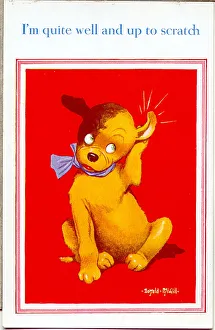 Comic postcard, Dog feeling up to scratch Date: 20th century Comic postcard, Dog feeling up to scratch Date: 20th century