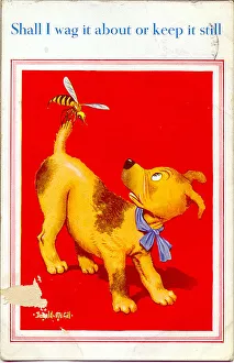 Wasps Gallery: Comic postcard, Dog with a wasp on its tail Date: 20th century