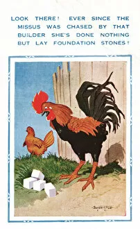 Cubes Gallery: Comic postcard, hen and suspicious cockerel