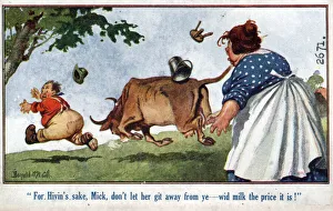 Comic postcard, Man chased by cow Date: circa 1918 Comic postcard, Man chased by cow Date: circa 1918