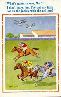 Comic postcard, Pigeons flying above racehorses Date: 20th century Comic postcard, Pigeons flying above racehorses Date: 20th century