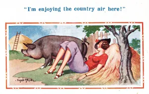 Comic postcard, Pretty young woman and pig Comic postcard, Pretty young woman and pig