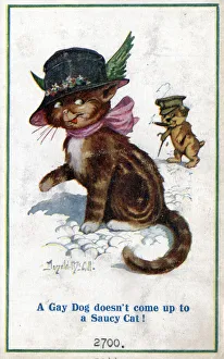 Comic postcard, Saucy cat and gay dog, WW1 Date: circa 1918 Comic postcard, Saucy cat and gay dog, WW1 Date: circa 1918