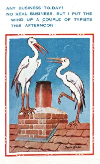 Comic postcard, two storks on a roof Comic postcard, two storks on a roof