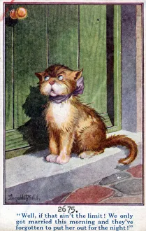 Comic postcard, Tom cat waiting for his partner to be put out for the night Date Comic postcard, Tom cat waiting for his partner to be put out for the night Date