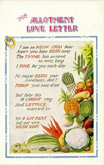 Verse Gallery: Comic postcard, Vegetable love, The Allotment Love Letter Date: 20th century