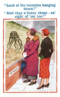 Comic postcard, two women discuss an octopus Date: 20th century Comic postcard, two women discuss an octopus Date: 20th century