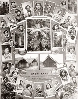 Composite of Maori images by Burton Bros photographers in Dunedin New Zealand c. 1890 Composite of Maori images by Burton Bros photographers in Dunedin New Zealand c. 1890