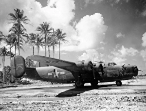 Consolidated B-24D Liberator -shown amid Pacific palms Consolidated B-24D Liberator -shown amid Pacific palms