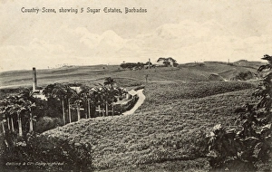 Plantations Gallery: Country scene with five sugar estates, Barbados, West Indies