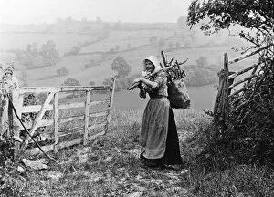 Firewood Gallery: Countrywoman gathering firewood