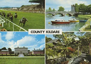 County Kildare, Multi -View (horse-racing) County Kildare, Multi -View (horse-racing)