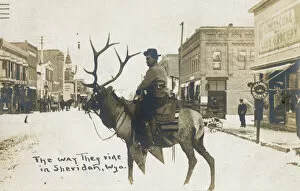 Shops Gallery: Cowboy riding elk, Sheridan, Wyoming, USA