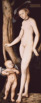 Cranach, Lucas, the Elder (1472-1553). Venus Cranach, Lucas, the Elder (1472-1553). Venus