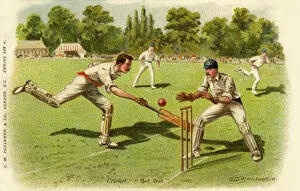Quick Gallery: Cricket