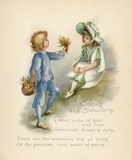 Crocus & Snowdrop / Language of Flowers Crocus & Snowdrop / Language of Flowers