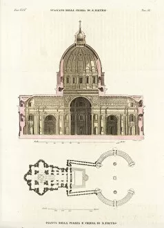 Pietro Collection: Cross-section and plan of St. Peters Basilica, Rome