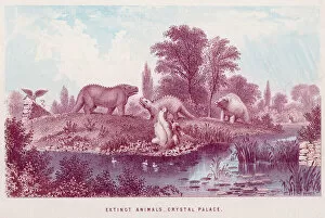 Visitors Collection: Crystal Palace Animals
