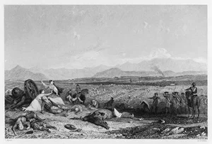 Cumberland Gallery: Culloden Battlefield