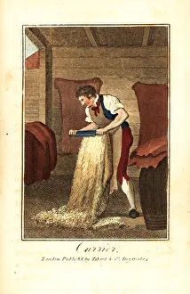 Currier shaving animal hides with a knife to make leather Currier shaving animal hides with a knife to make leather