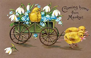 <b class=qtipBold><figcaption>Customs/Easter/Chicks</figcaption></b><br>'Coming home from market'<br><em>© Mary Evans Picture Library</em> Customs/Easter/Chicks
