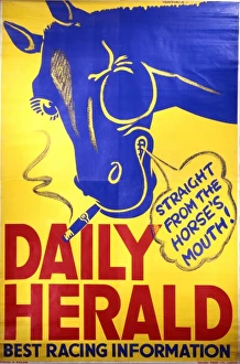 <b class=qtipBold><figcaption>Daily Herald advert</figcaption></b><br>Daily Herald best racing information, advert, straight from the horse's mouth<br><em>© Mary Evans Picture Library 2015 - https://copyrighthub.org/s0/hub1/creation/maryevans/MaryEvansPictureID/10265176</em> Daily Herald advert