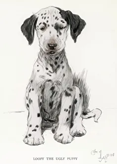 <b class=qtipBold><figcaption>Dalmatian Puppy Aldin</figcaption></b><br>Loopy the Ugly Puppy.<br><em>© Mary Evans Picture Library</em> Dalmatian Puppy Aldin