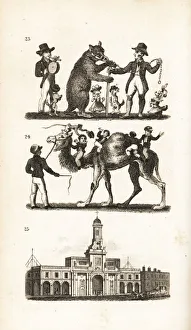 Dancing Bear and Dog, Camel and Monkey and Dancing Bear and Dog, Camel and Monkey and