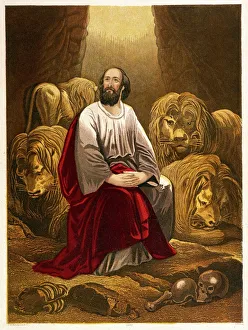 Lions Gallery: Daniel in Lions Den